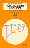 Fisiología animal y evolución