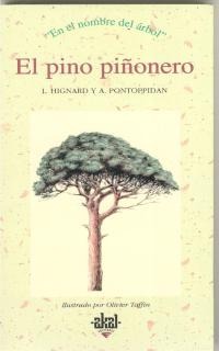 El pino piñonero El pino piñonero