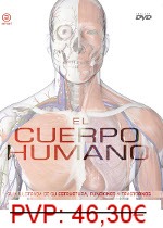 El cuerpo humano