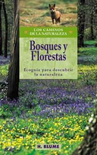 Bosques y florestas