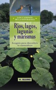 Ríos, lagos, lagunas y marismas