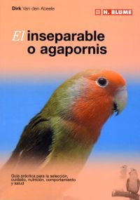 El inseparable o agapornis El inseparable o agapornis