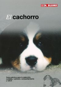 El cachorro El cachorro