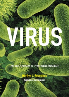 Virus Virus
