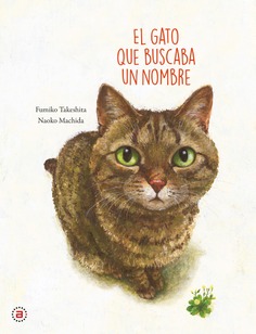 El gato que buscaba un nombre El gato que buscaba un nombre